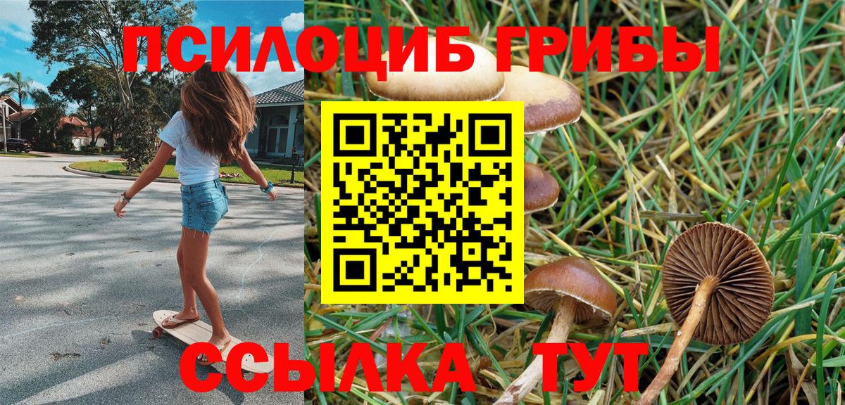 цена наркотик  Галлюциногенные грибы ЛСД  Вход с VPN  Сегежа 
