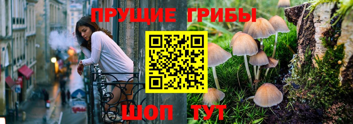 Псилоцибиновые грибы Cubensis Сегежа